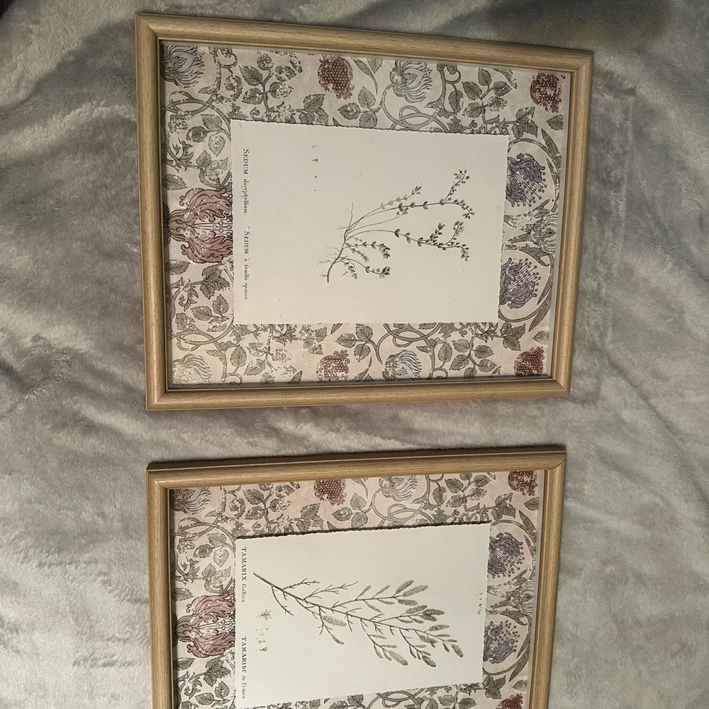 Elegant Botanical Framed Wall Art Set - Gold and Cream